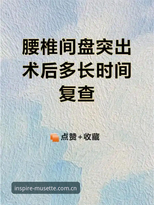 掌握米兰MUSETTE验证不了的5个关键排查方法